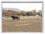 Kamera, ZOOM: koně, 3gp a 129kB (Kliknutí přehraje video)