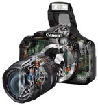 Názorný průřez fotoaparátem EOS450D (Klikni pro zvětšení)